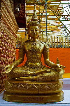 下一個Buddha Sri Ariya的形象