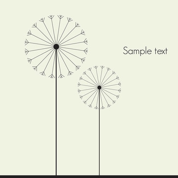 向量的蒲公英