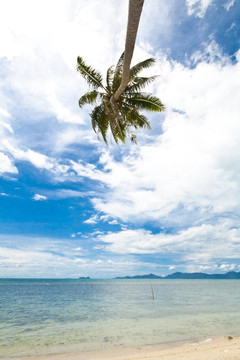 沙美島