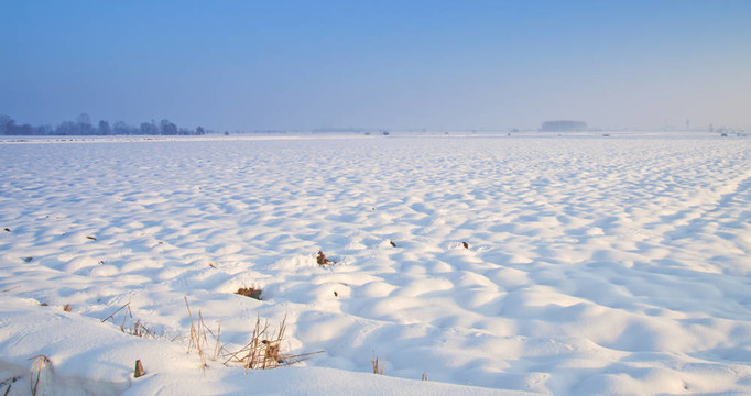 雪景