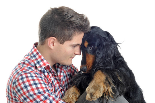 英國可卡犬和人