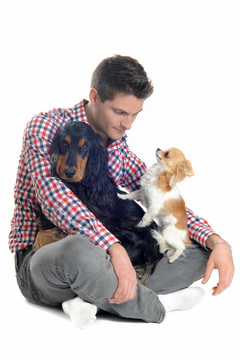 可卡犬；奇瓦瓦人