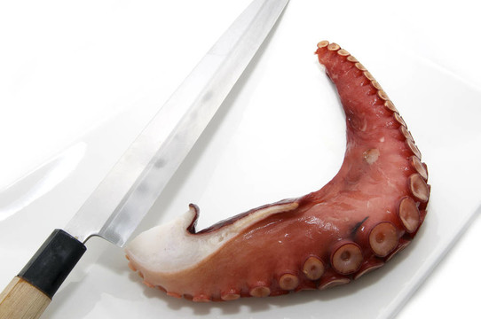 一塊章魚(yú)和一把刀