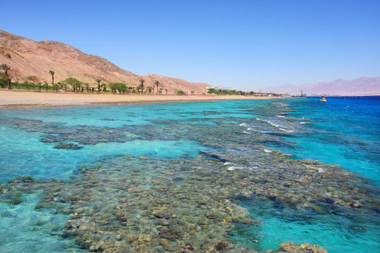 紅海岸線。Eilat；以色列。