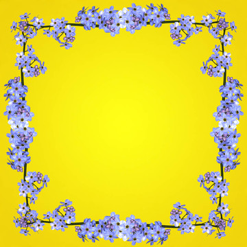 黃色的藍(lán)色花框架