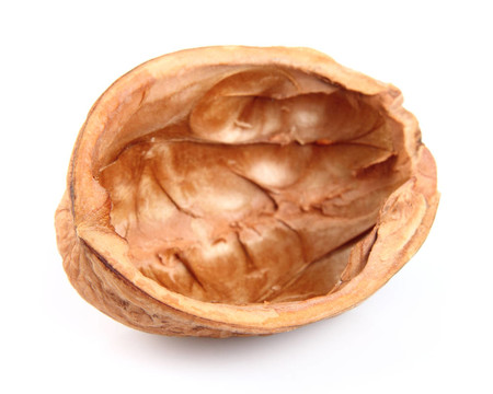果殼核桃