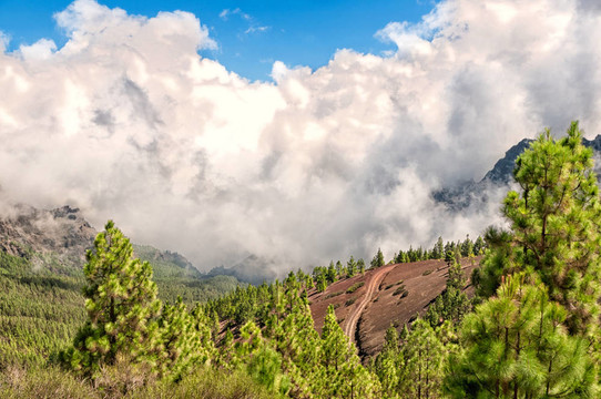 特內(nèi)里費(fèi)火山瓦多泰德；西班牙