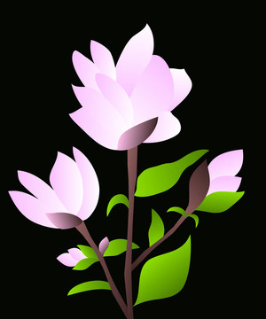 木蘭花