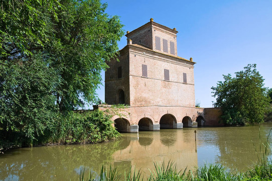 阿巴特塔。Mesola。Emilia Romagna。意大利.