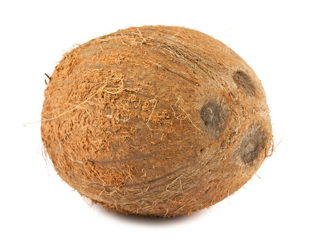 成熟的椰棕