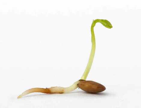 長(zhǎng)鏡頭特寫