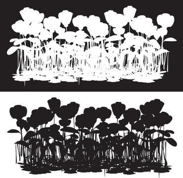 罌粟花田