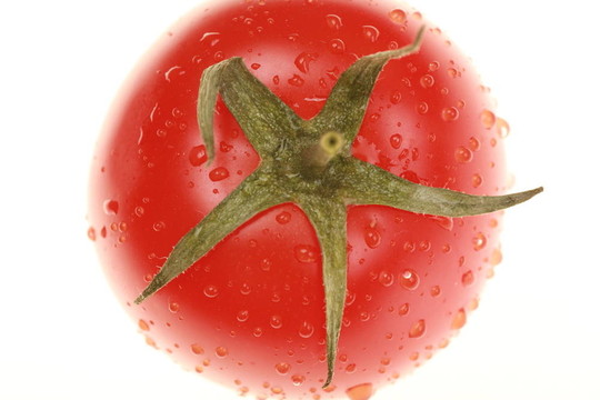 番茄