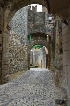 城堡威格雷諾。Emilia Romagna。意大利.