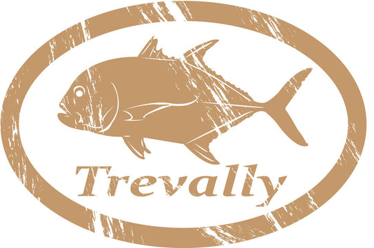 Trevally。