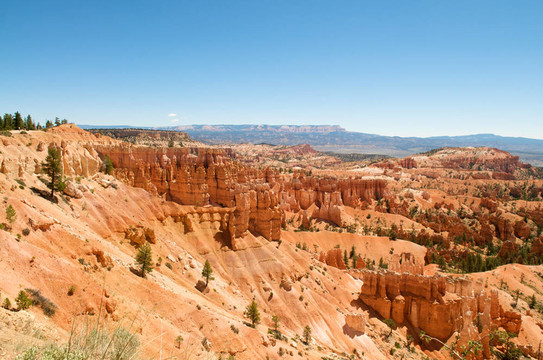 美麗的Canyon
