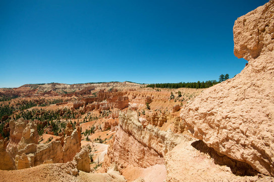 美麗的Canyon