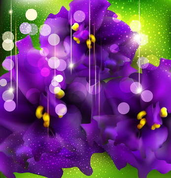 浪漫的紫罗兰在绿色背景