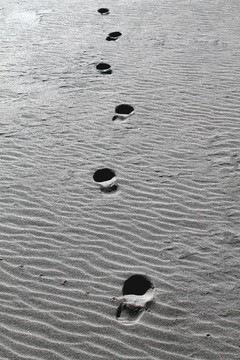 步驟