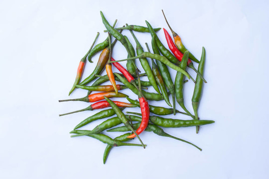 紅辣椒和綠辣椒