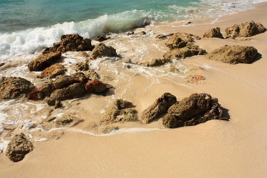 熱帶海灘上的石頭