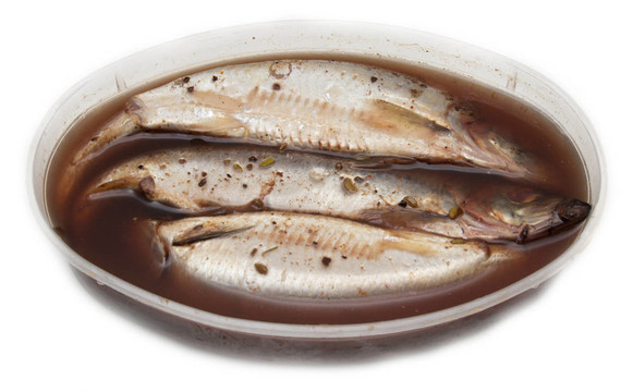 白底咸咸鯡魚