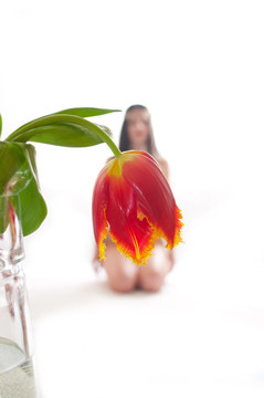 紅郁金香花在花瓶里