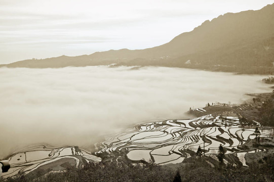 中國(guó)云南元陽(yáng)梯田的顏色；