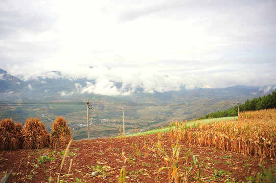 東川；云南紅土階地；