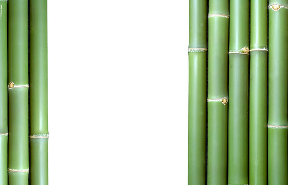 竹的背景