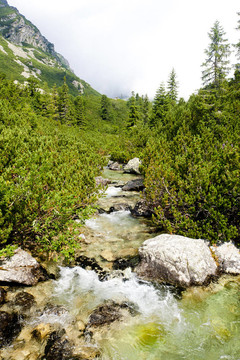 Vysoke Tatry（高水）；斯洛伐克