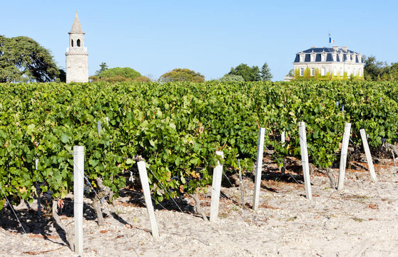 Chateau de拉圖爾；通過；波爾多地區(qū)；法國(guó)