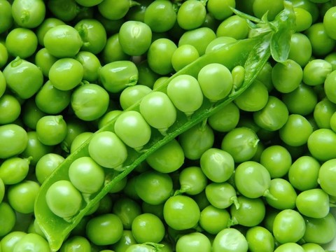 新鮮豌豆