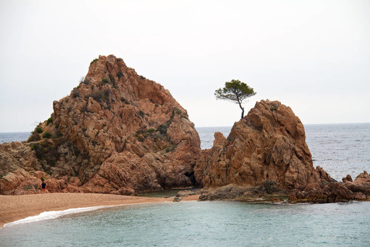 menuda損壞在濱海托薩海灘（布拉瓦海岸；西班牙）