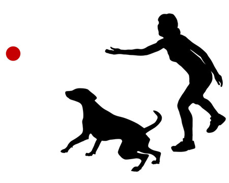 狗訓練球