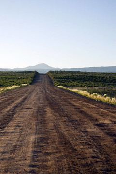 通往山峰的路
