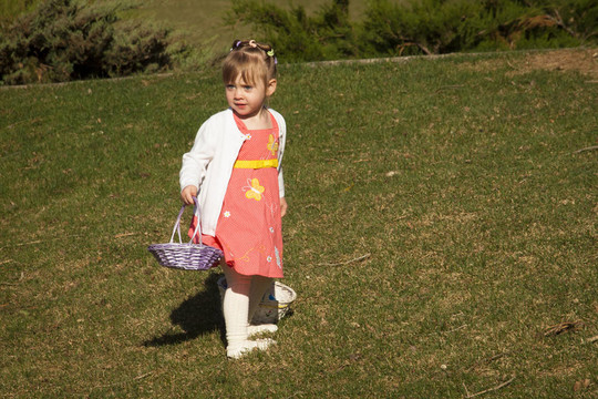 幼兒在復(fù)活節(jié)彩蛋狩獵