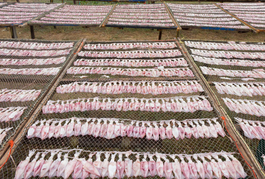 網(wǎng)上魷魚干