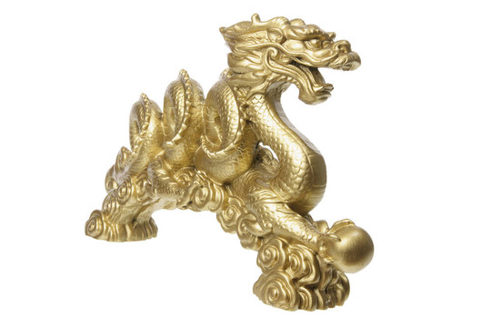 金龍