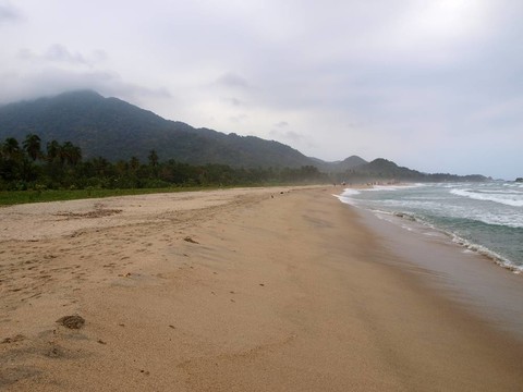 海灘和游客