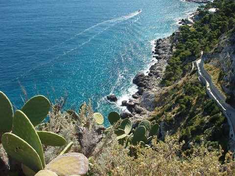 卡普里島