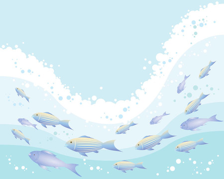 五顏六色的魚
