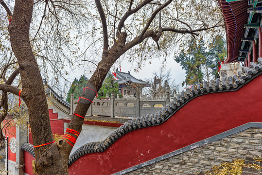 歷山院
