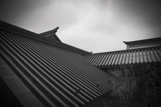 廣富林遺址公園