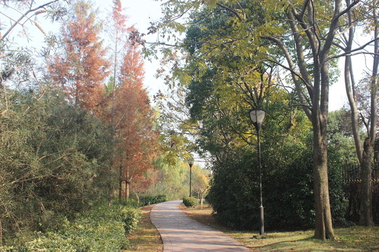 林間小道