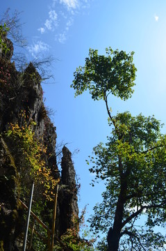 南宮山