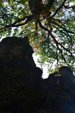 南宮山
