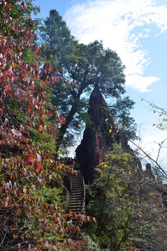 南宮山