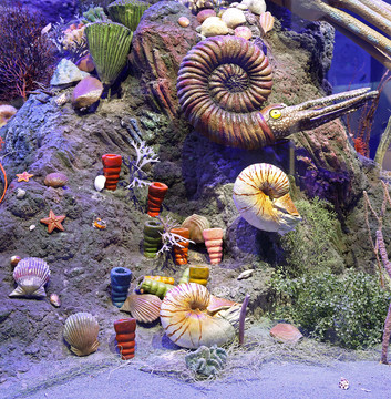 海洋生物模型