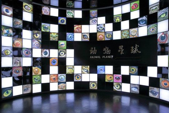 動(dòng)物眼睛